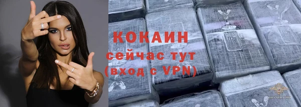 прущий лед Алзамай