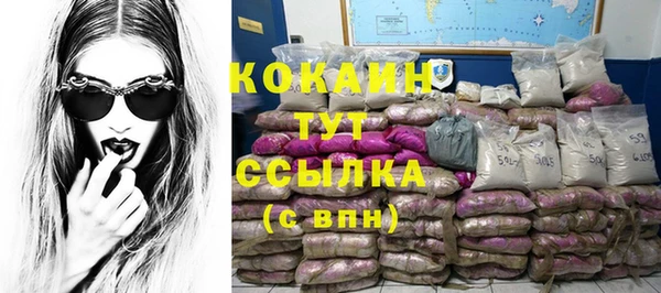 прущий лед Алзамай