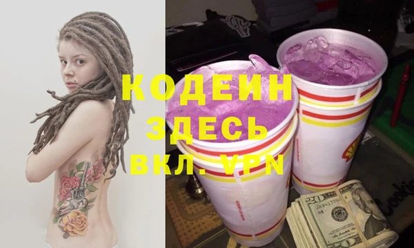 прущий лед Алзамай